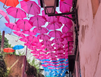 Umbrellas lined up on lane