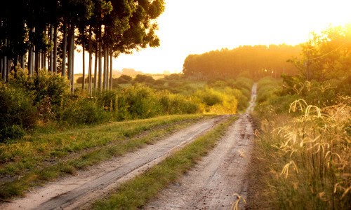 Camino summer