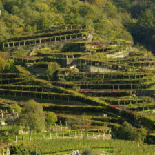 Hills along the Via Francigena route