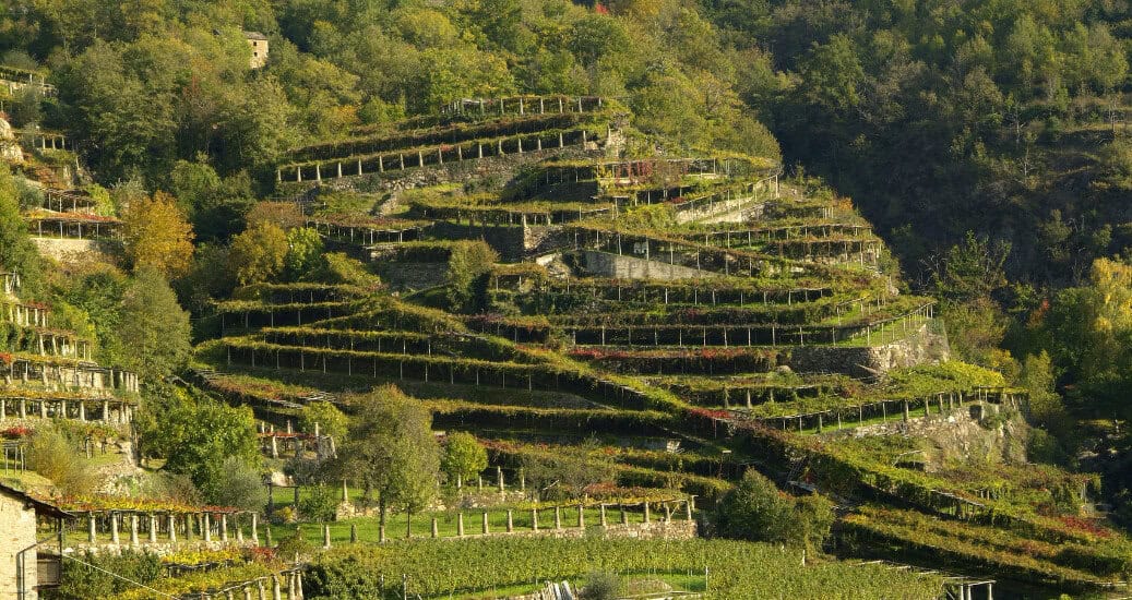 Hills along the Via Francigena route