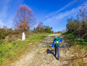 Kids walking the camino