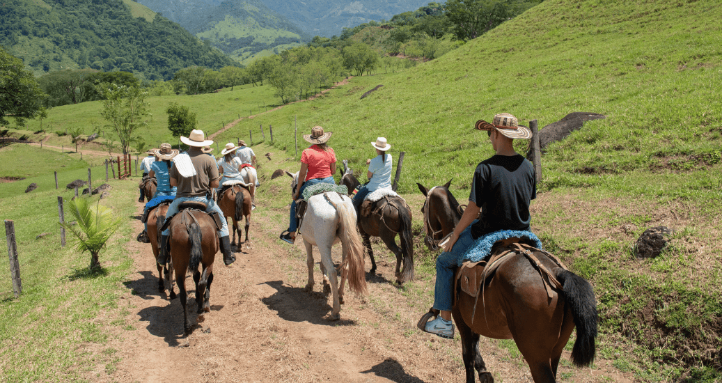 Horse Ride the Camino Frances