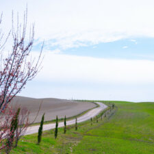 Via Francigena