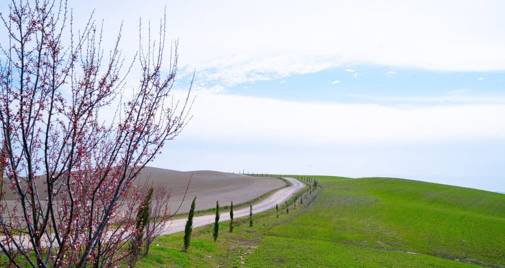 Via Francigena