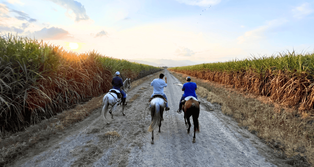 Horse Ride the Camino Frances