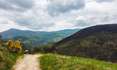 Camino in winter