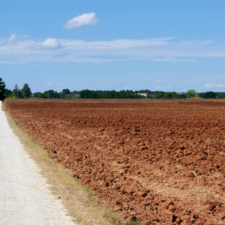 Via Francigena