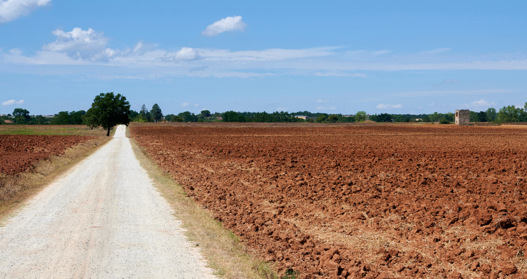 Via Francigena