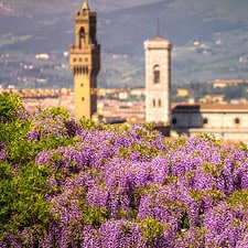Florence, Italy