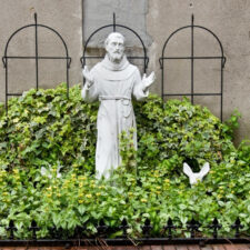 St. Francis Statue