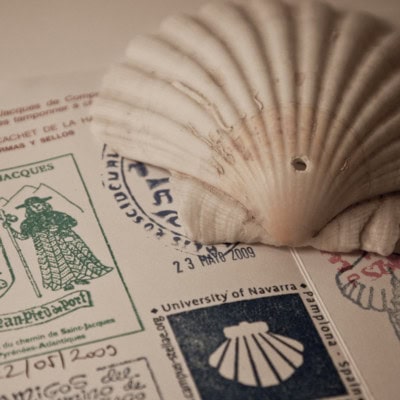 scallop shell with passport