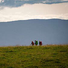 Pilgrims walking on the Geneva Way to Le Puy