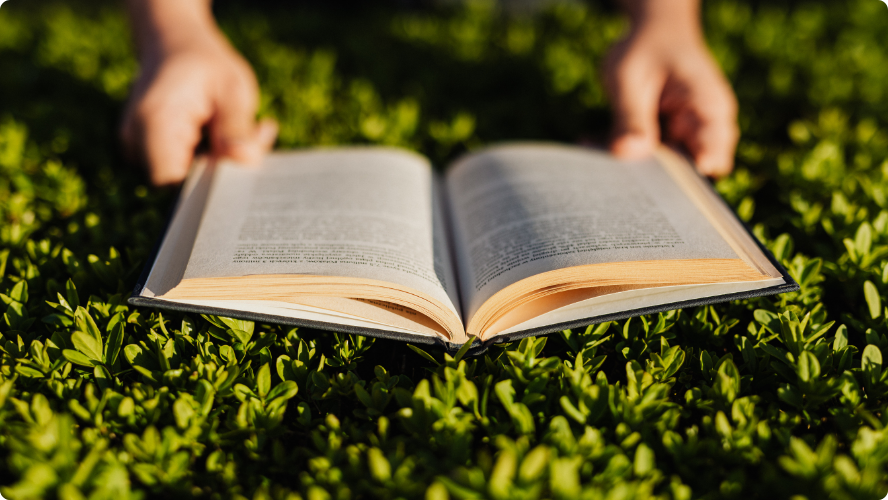 Carbon literacy book on green grass bed
