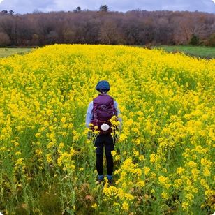 Pilgrim Standing in the Middle of Blooming Rapeseed Field along the Way of St James Pilgrimage Trail Camino de Santiago