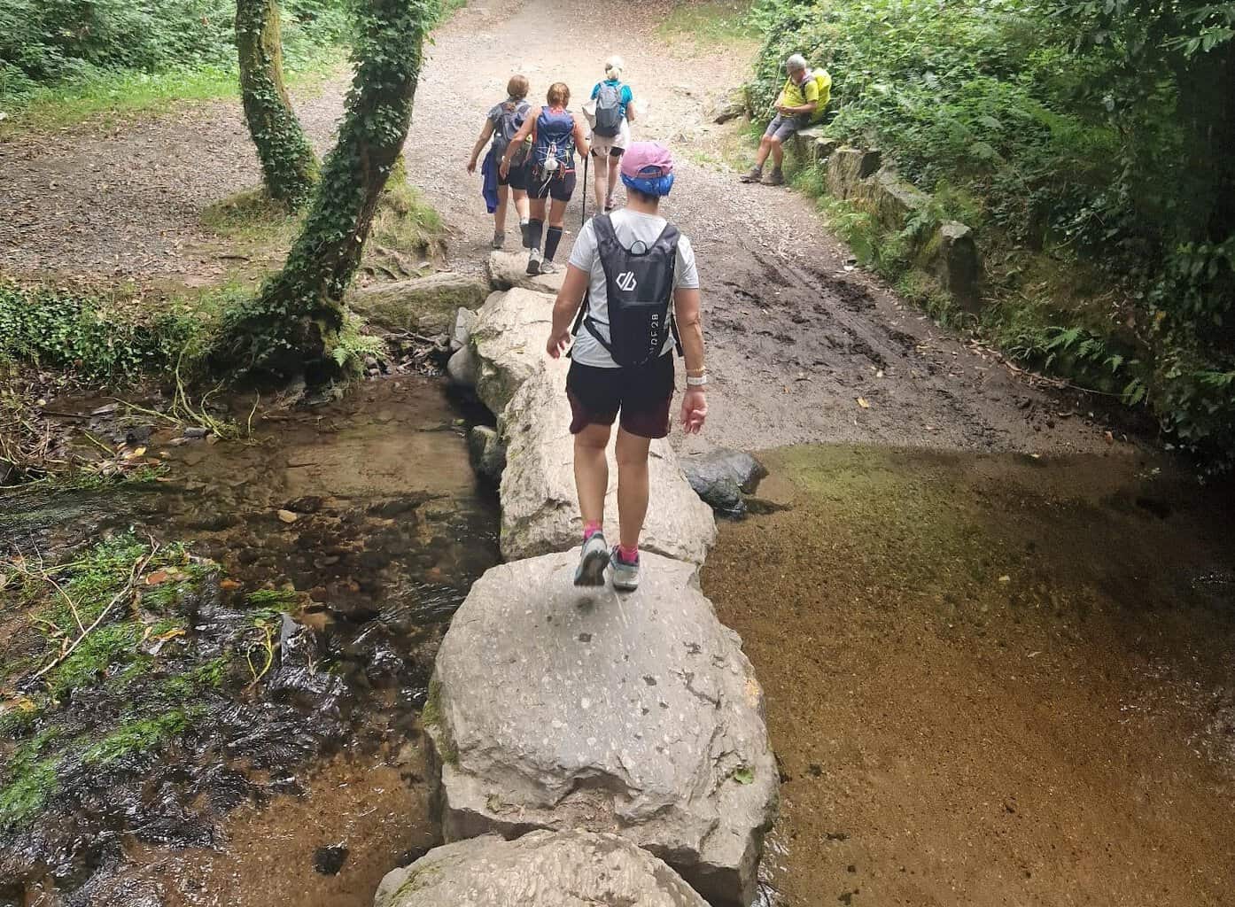 Group of walkers on the Camino Frances route