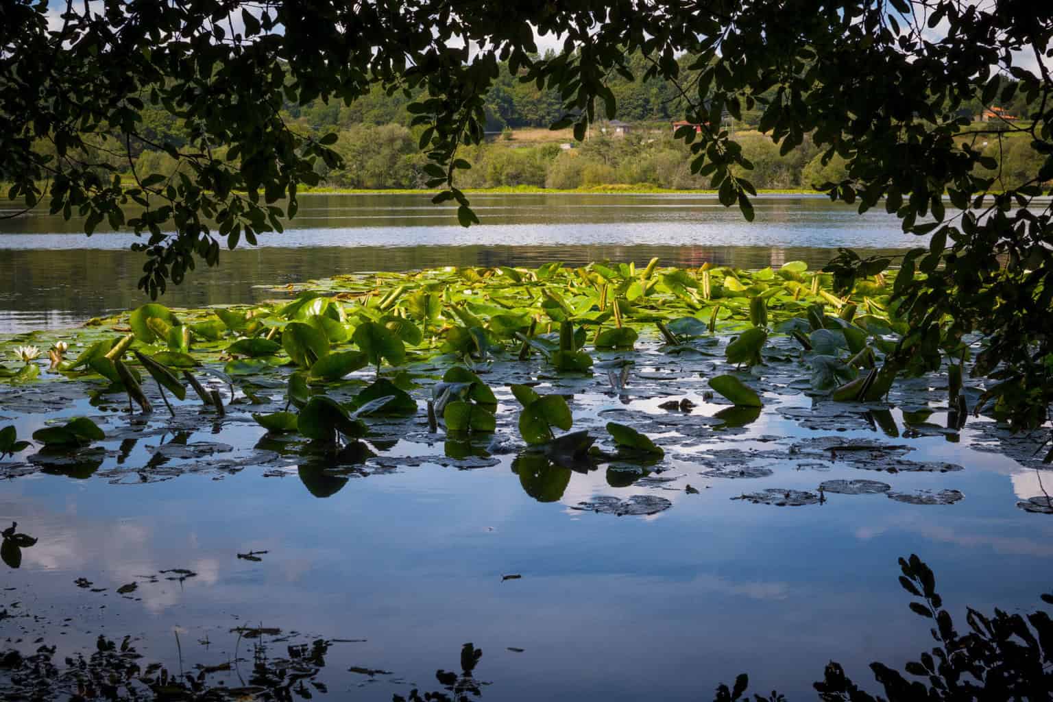 Lagoon Sobrado in Sobrado dos Monxes