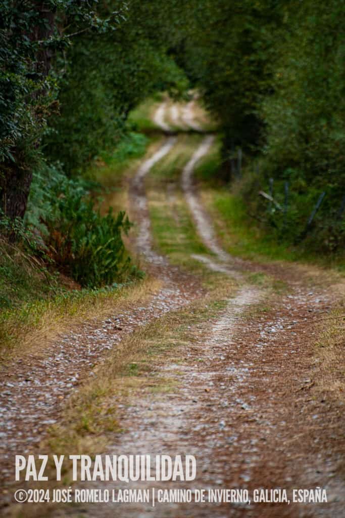 Camino de Invierno route