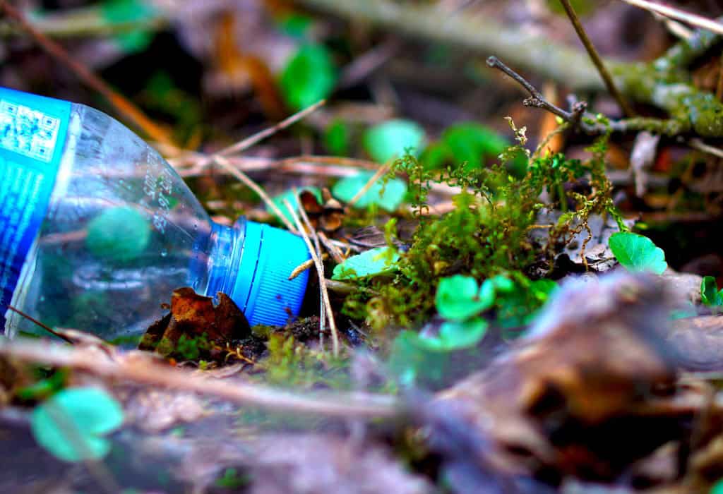 Litter disposed on an outdoor path