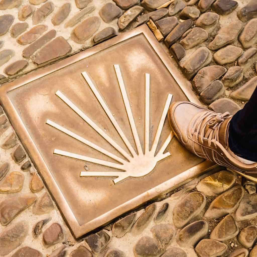 Scallop shell with foot on camino